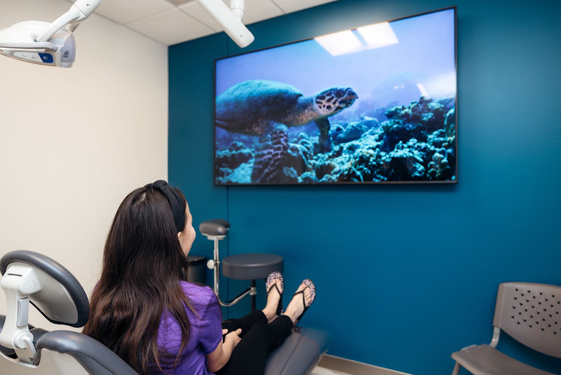 Dr. Quynh Nguyen DDS 4