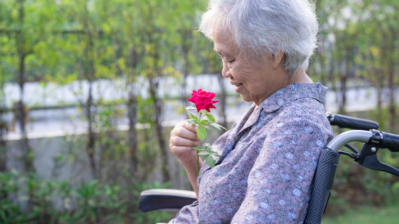 Home Helpers Home Care of Denver, CO 5