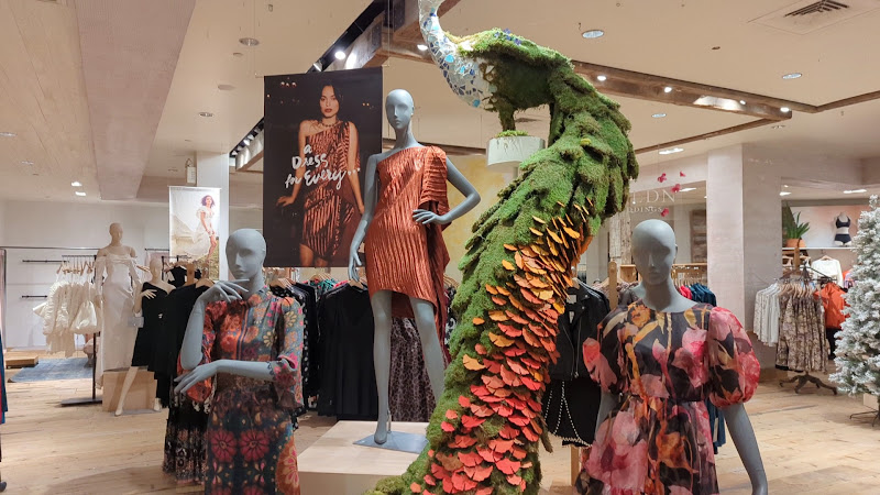 Anthropologie 3