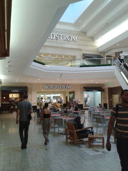Anthropologie 4