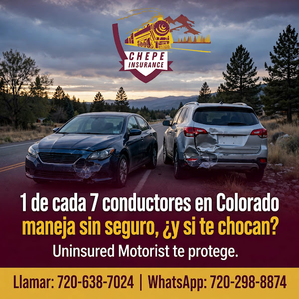 Chepe Insurance and Services