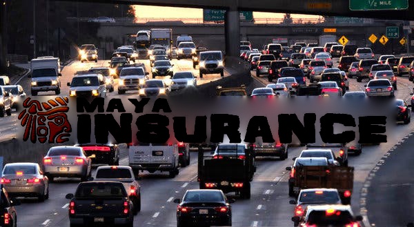 Maya Insurance Group 5