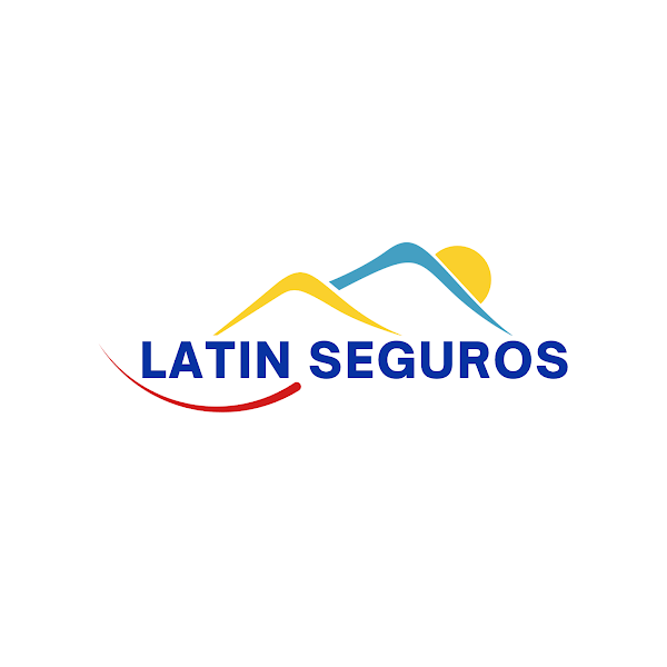 LATIN SEGUROS LLC 2