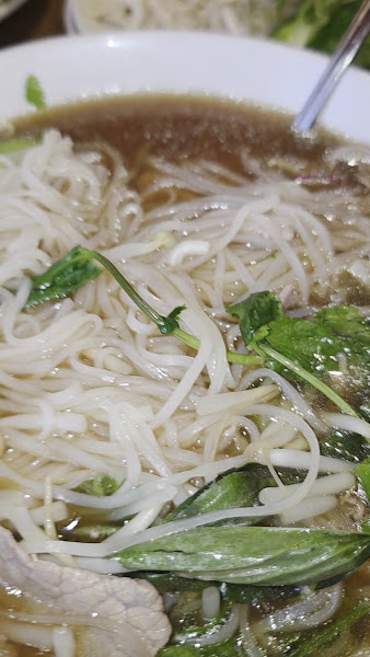 Little Saigon Restaurant 3