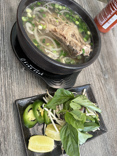 Viet Fusion 5