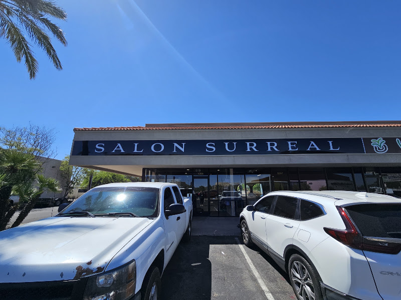 Salon Surreal 2