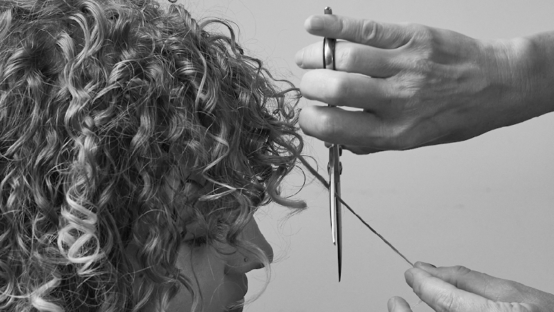Snapdragon Salon 2