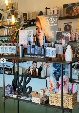 Snapdragon Salon 3