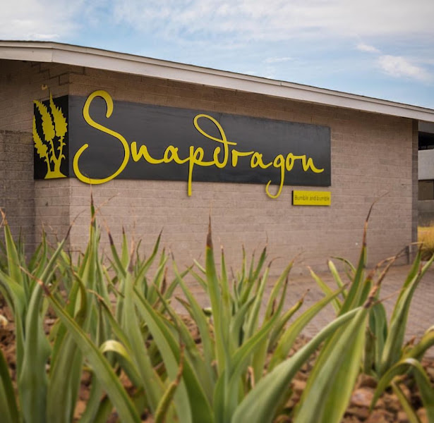 Snapdragon Salon 4