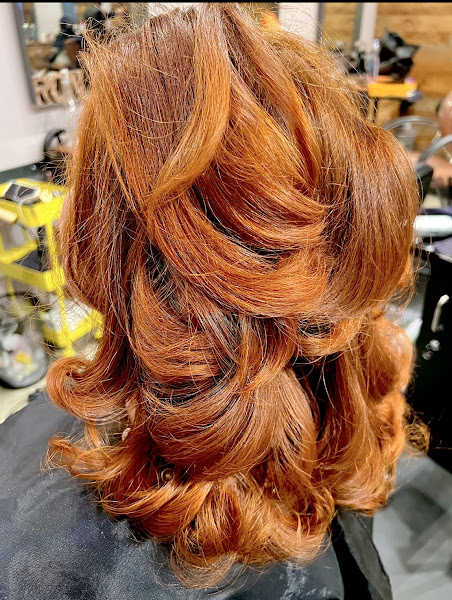 NIZALIDEO THE SALON 5