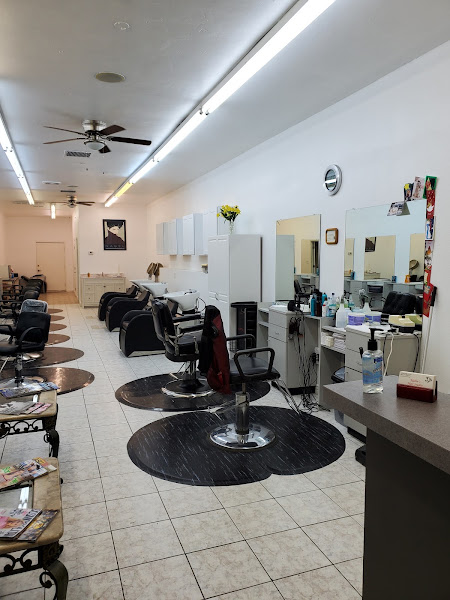 Nadia's Hair Studio