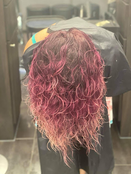 Wilds Salon 24 4