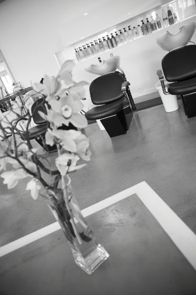 VOLR Salon 5