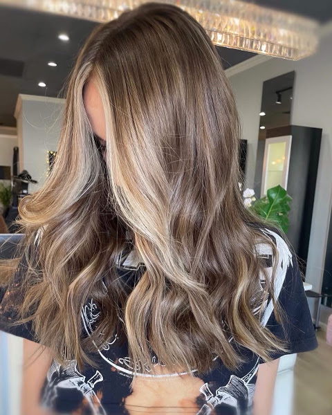 Chris Le Salon