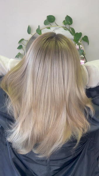 Hairapy Salon | Hair Salon | Haircuts| Color| Extensions| Brazilian Blow outs 3