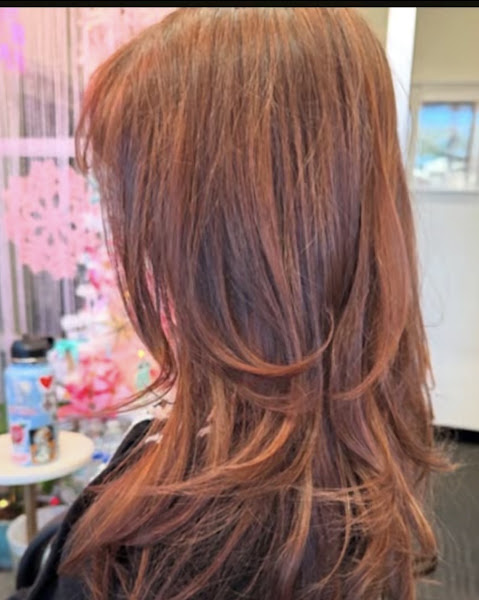 Wild Ivy Salon 3
