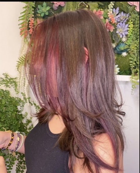 Wild Ivy Salon 5