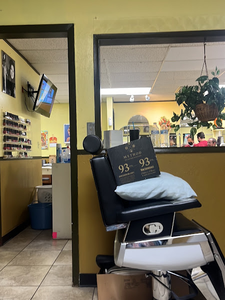 Hairstylist Barber&Beauty 4