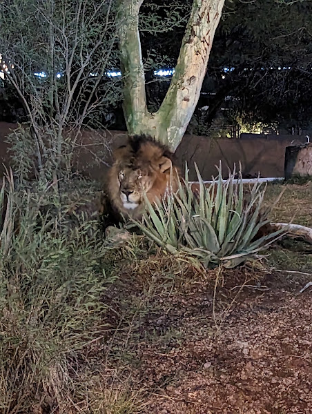 Phoenix Zoo Gift Shop 4
