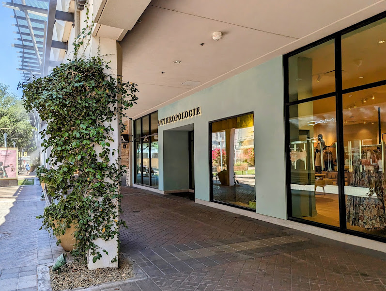 Anthropologie 3