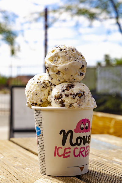 Novel Ice Cream 4