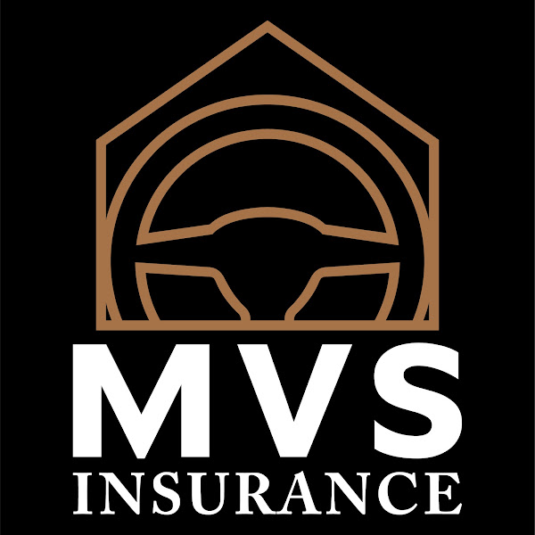 MVS Insurance 4