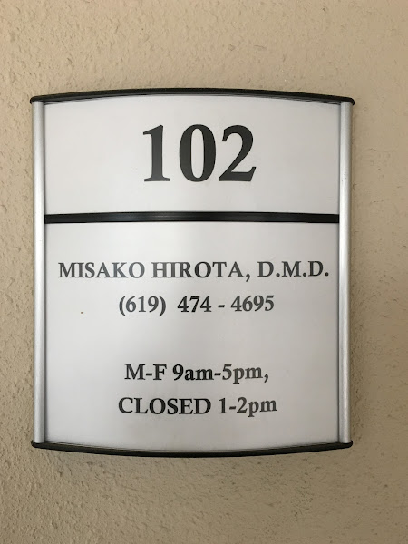 Hirota Misako, DMD 2