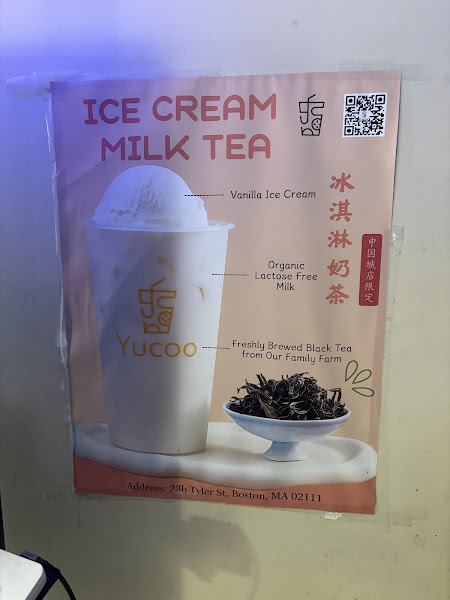 Yucoo -Boston 5