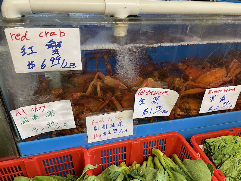 Happy Family Food Market 5