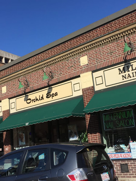 Orchid Spa Brookline