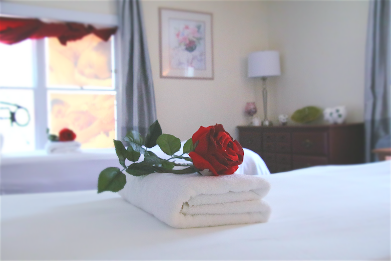 Vitality Massage Therapy 3