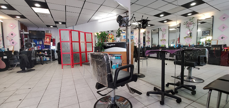 Thanh's Salon 2