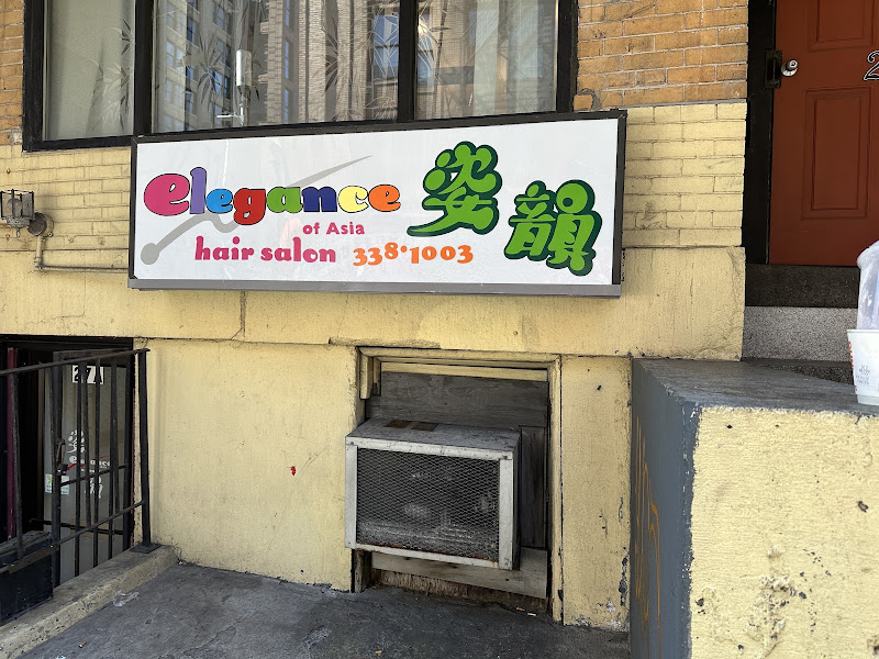 Elegance of Asia Hair Salon 2
