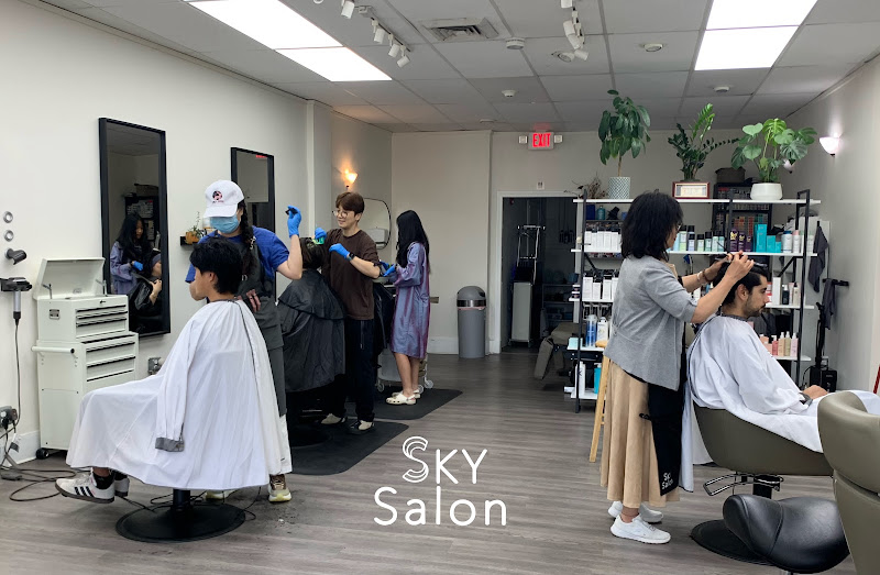 Sky Salon 5