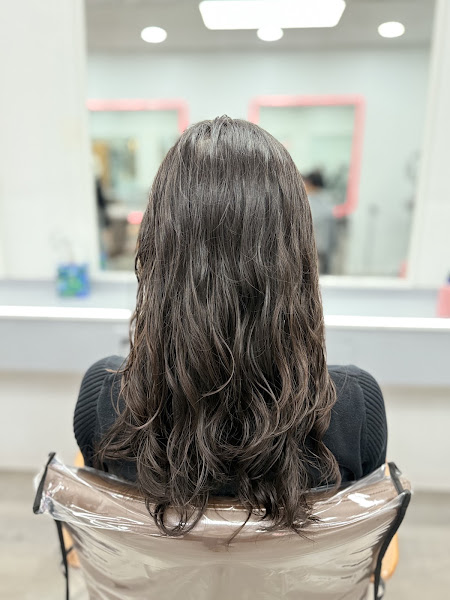 Beautiful Cuts 3