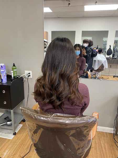 Beautiful Cuts 5