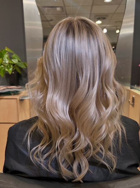 Carbon Salon 3