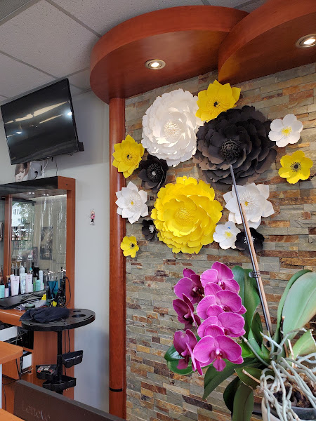 HK Hair Studio 2