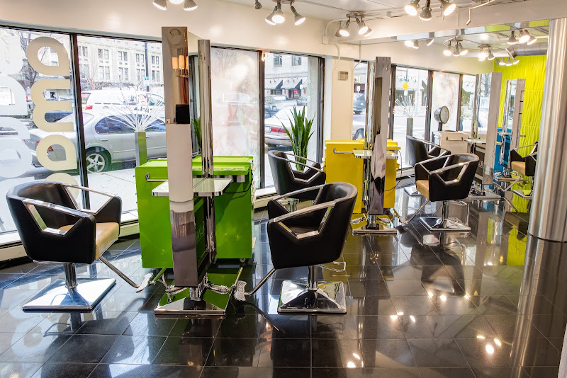 Amaci Salon 2