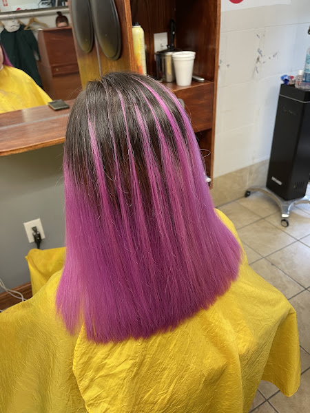 A Salon 5