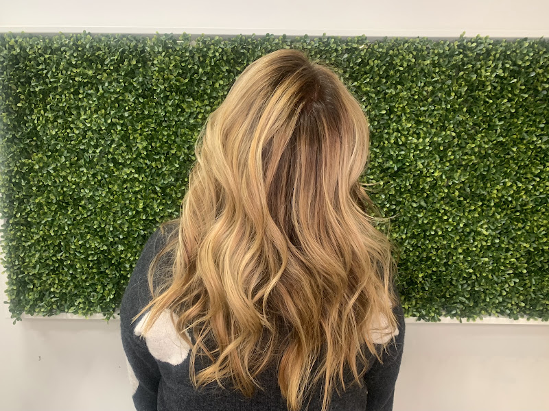 Pure Hair Design 4