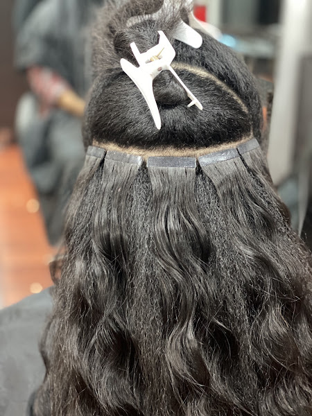 Boston Hairnista® 4