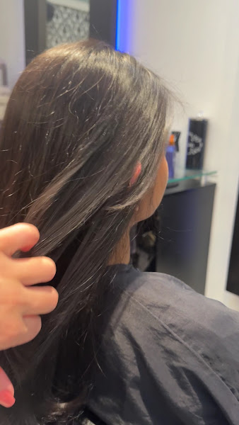 Highlight Salon 3