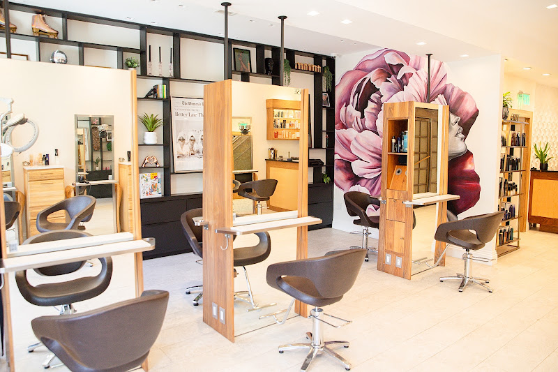 Alexander Safar Salon