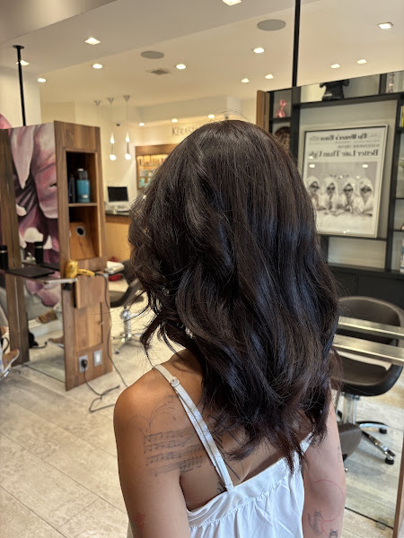 Alexander Safar Salon 5