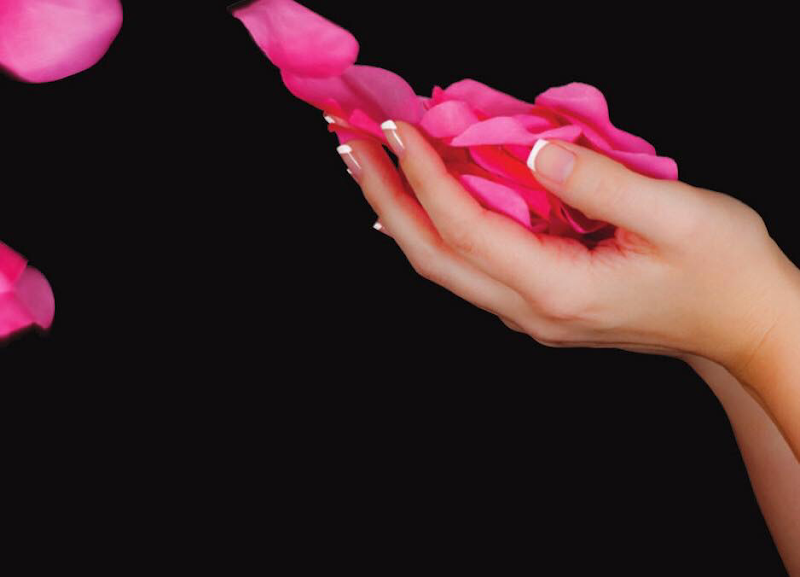 Direct Nail Supply 5
