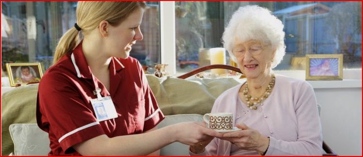 Secure Home Health Care Inc.