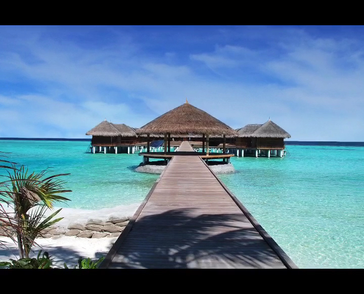 D.A. Luxury Travel, Inc. 5