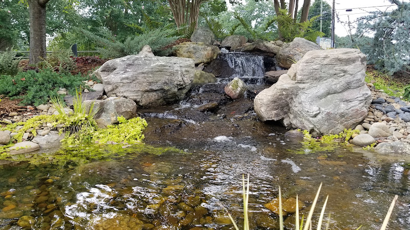 Nature's Spa and Wellness 5