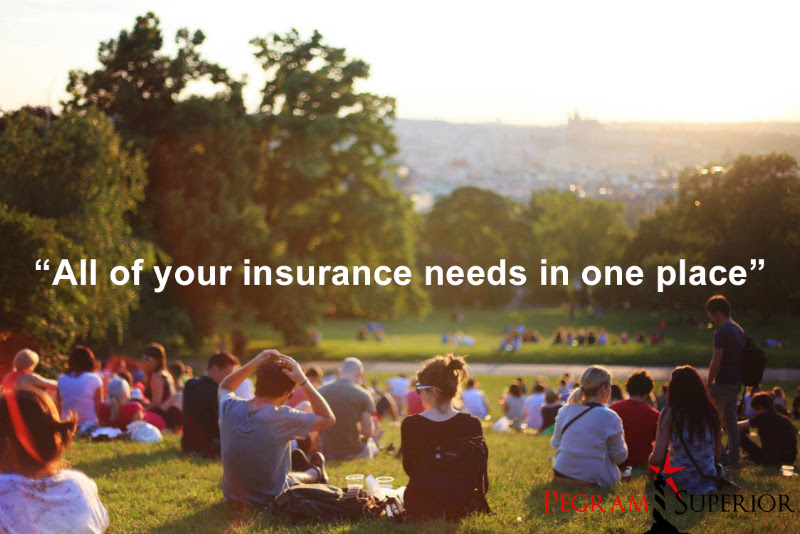 Pegram Superior Mitchell Insurance Agency 2
